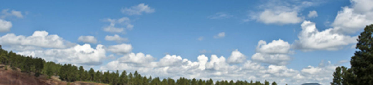Flagstaff Ranch 18